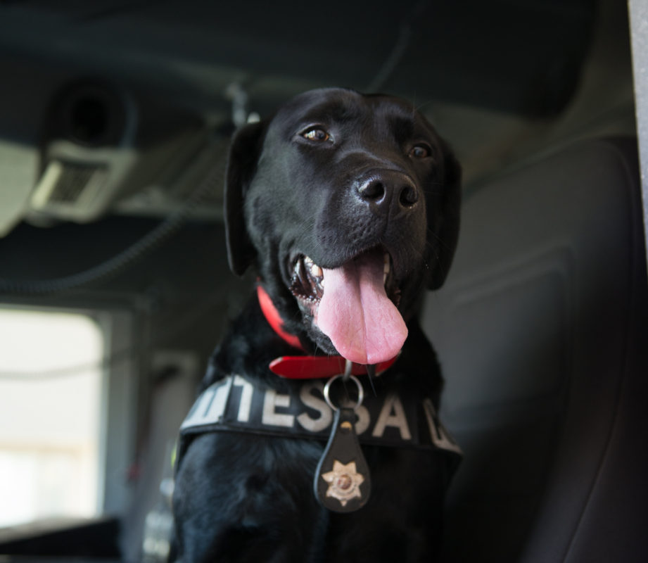 Fresno Fire Chief's Foundation