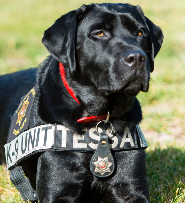 Fresno Fire Chief's Foundation