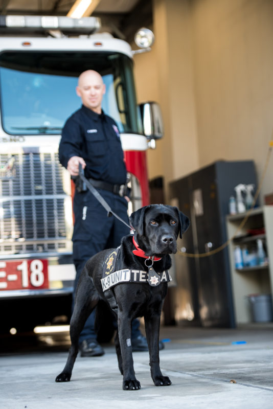 Fresno Fire Chief's Foundation